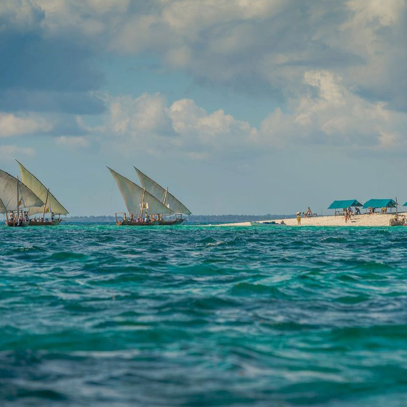 Escursioni alle Isole Zanzibar in Tanzania, Blue Safari, Picnic al Sand Bank, Dhow Cruise