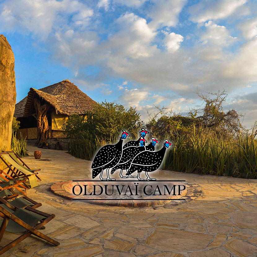 Este alojamiento de campamento se encuentra en el Área de Conservación de Ngorongoro, con vistas al desfiladero de Olduvai, cerca del cráter de Ngorongoro