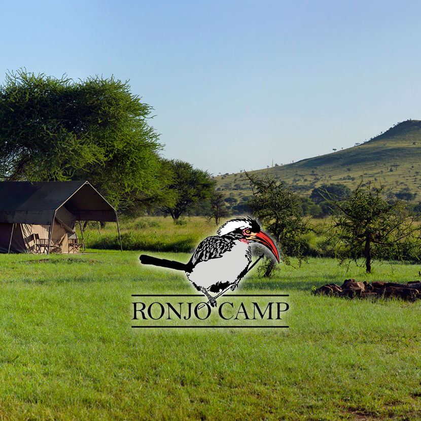 Ubicado en el centro del Parque Nacional del Serengeti, cerca de Banagi, bastante lejos de otros campamentos y cabañas, en el corazón de un hermoso bosque de acacias.