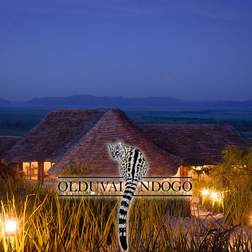 Olduvai Ndogo (pequeño en swahili) es un campamento permanente ubicado cerca de las aldeas masai