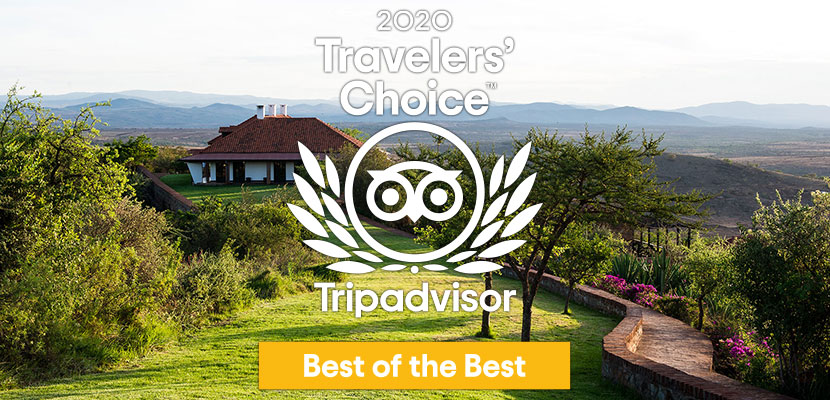 Bashay ottiene l'etichetta Trip Advisor Traveller's Choice