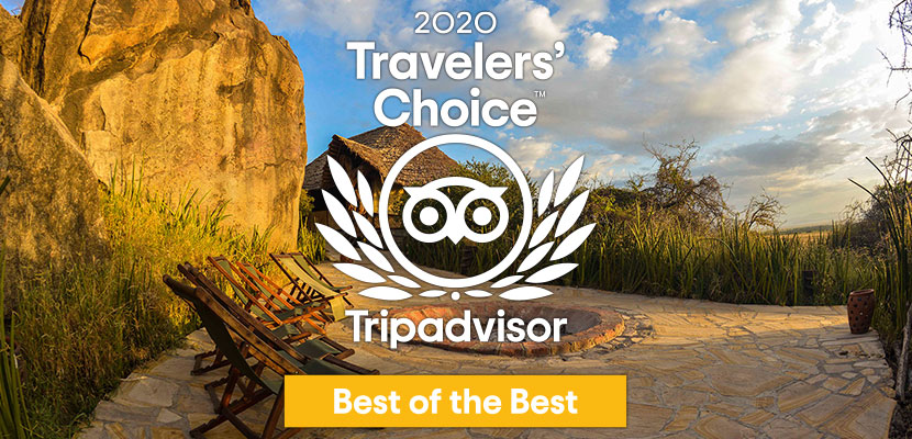 Olduvai Camp ottiene l'etichetta Trip Advisor Traveller's Choice