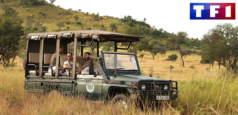 Safari in auto elettrica in Tanzania